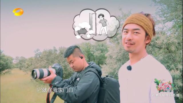 陈柏霖最新电影消息(从花少流放者到睡着的王子)(16)