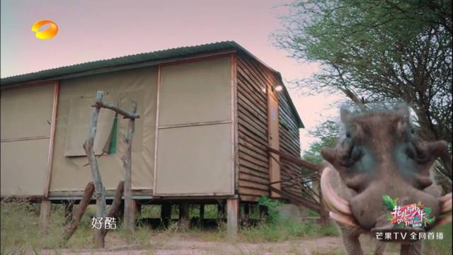 陈柏霖最新电影消息(从花少流放者到睡着的王子)(18)