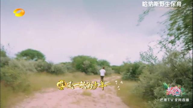 陈柏霖最新电影消息(从花少流放者到睡着的王子)(23)