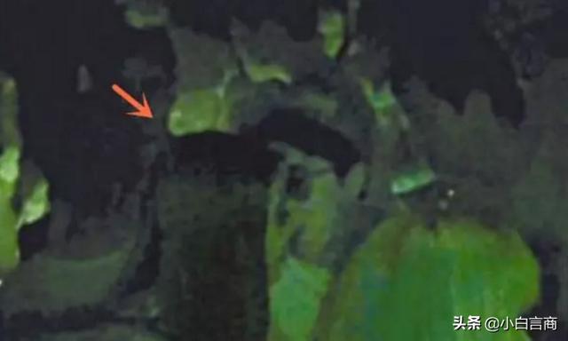 房祖名小的时候跟成龙拍过电影吗(曾丑闻缠身的房祖名摇身一变成大导演)(30)