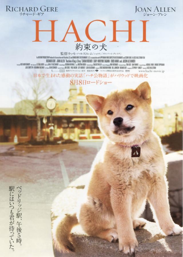 分享十部催泪感人电影(8部最催泪的电影)(2)