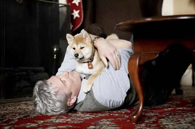 分享十部催泪感人电影(8部最催泪的电影)(4)