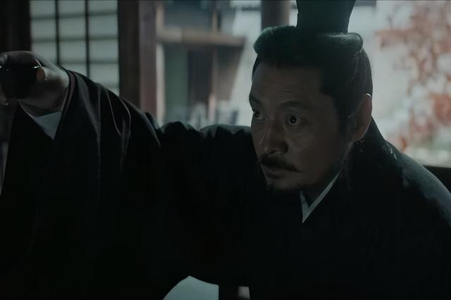 风起陇西最新古装电视剧2022热播(风起陇西首播质量高)(6)