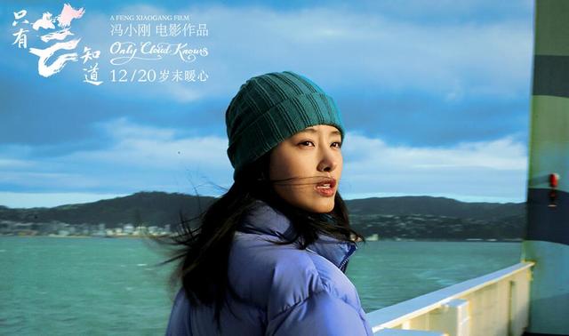 冯小刚电影的票房(内地票房仅1.6亿)(19)