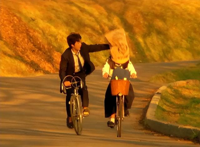 好看的爱情文艺片电影推荐(电影推荐提升审美的高分小众催泪文艺片推荐)(9)