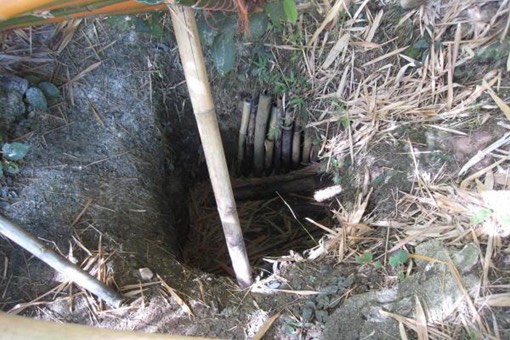 网络图片(侵删)