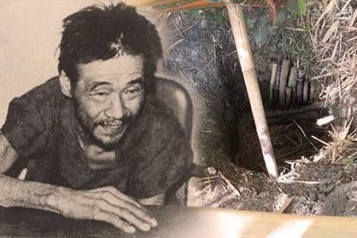 网络图片(侵删)