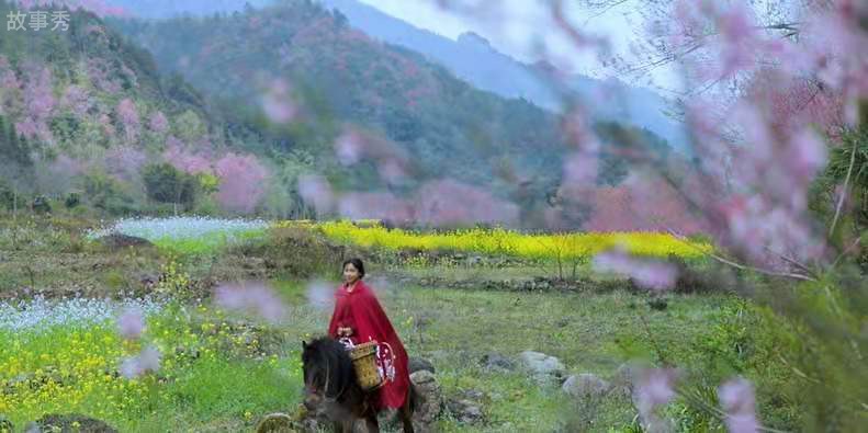 网络图片(侵删)