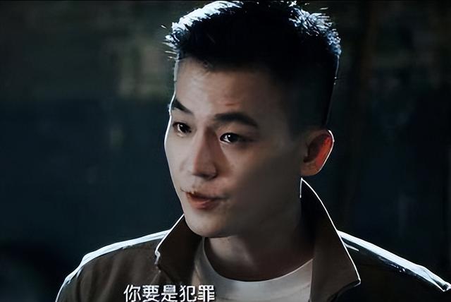 今天扫黑风暴电视剧在哪个台播出（我心中近10年最好的8部扫黑剧）(31)