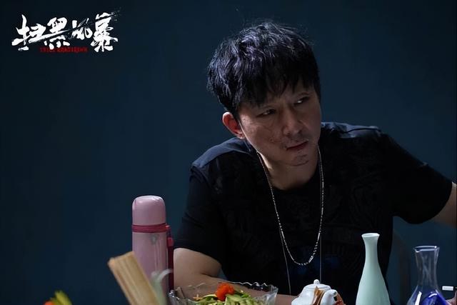 今天扫黑风暴电视剧在哪个台播出（我心中近10年最好的8部扫黑剧）(28)