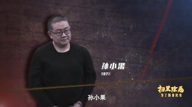 今天扫黑风暴电视剧在哪个台播出（我心中近10年最好的8部扫黑剧）(29)