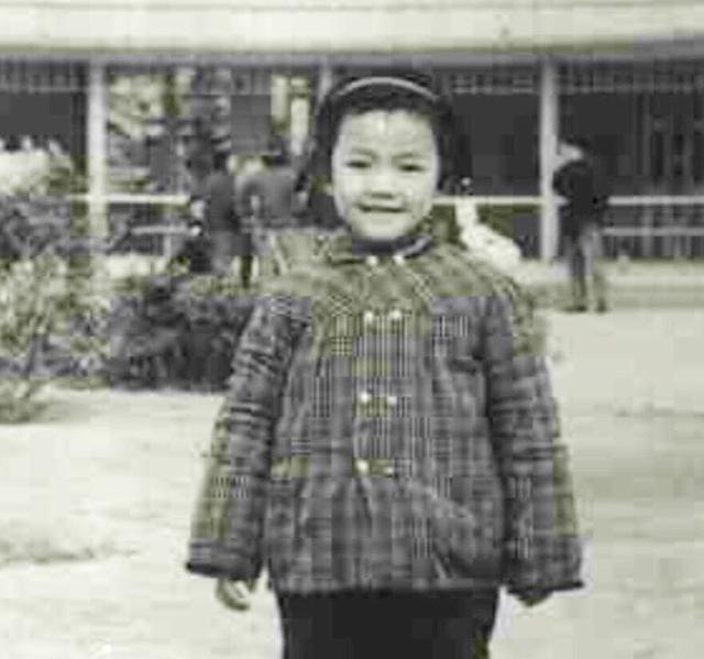 罗海琼演过双胞胎电视剧(相逢时节主演罗海琼)(6)