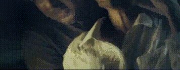 马东锡十部最强电影(10部马东锡硬汉片)(27)