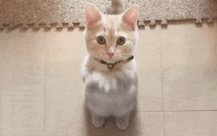 十部必看奇幻电视剧推荐（16部最受年轻人喜爱的电视剧）(18)