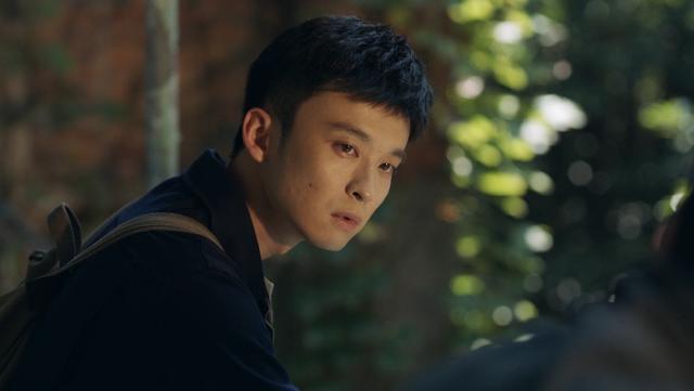 推荐五部迷雾剧场电视剧(隐秘的角落后迷雾剧场)(24)