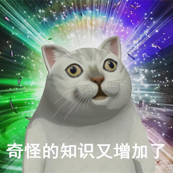 在电影院选哪些座位是最好的(电影院里最好的座位)(10)