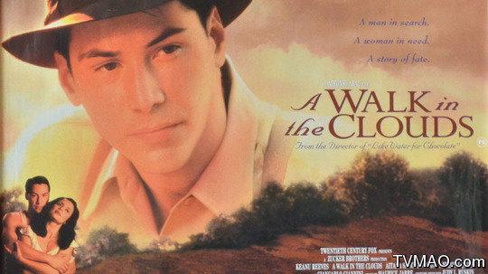 最动人的十部唯美爱情电影(15部经典爱情电影)(5)