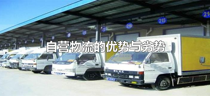 自营物流的优势与劣势