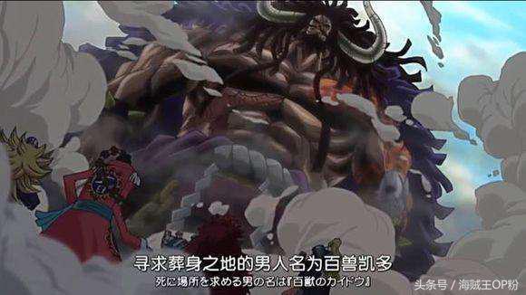 海贼王1052话情报谁是新四皇(海贼王四皇不可侵犯)(5)