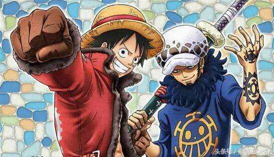 海贼王1052话情报谁是新四皇(海贼王四皇不可侵犯)(6)