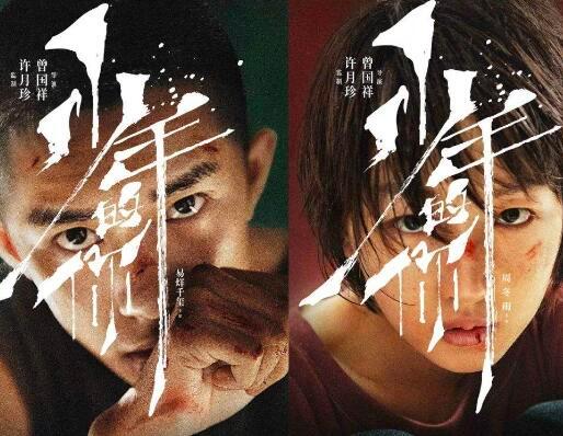 少年的你电影每个人的结局(结局你真的看懂了吗)(4)