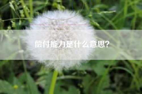 偿付能力是什么意思? 偿付能力是什么意思?