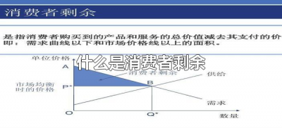 ​什么是消费者剩余（什么是消费者剩余和生产者剩余）