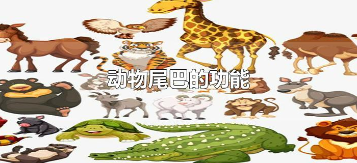 动物尾巴的功能 动物尾巴的功能
