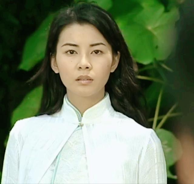 卫斯理电视剧共有几部(电视剧版卫斯理看这部就够了)(3)