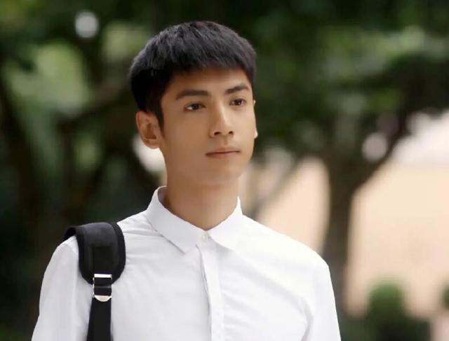 盘点罗云熙主演的电视剧(盘点罗云熙参演的电视剧)(2)