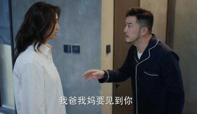 张嘉译刘敏涛宋丹丹电视剧(张嘉译宋丹丹主演)(5)