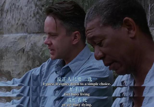 一生必看的10部经典电影(一辈子必看一次的十部经典电影)(4)