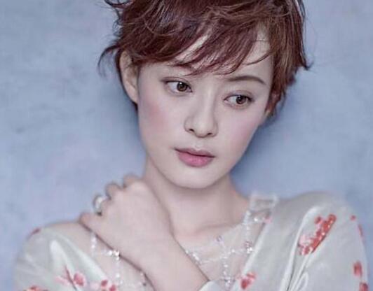 海岩演的全部电视剧(同是演海岩剧走红)(6)