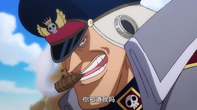 海贼王草帽海贼团两年后回归合集（海贼王吃下透明果实的雨之希留强无敌）(1)