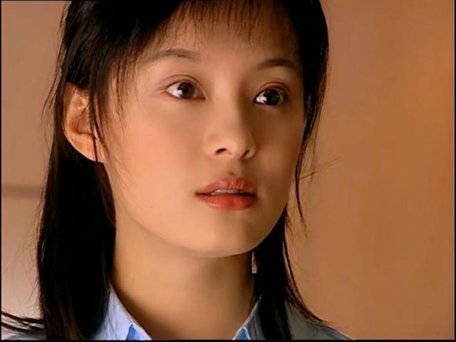 孙俪佟大为再次合作什么电视剧（18年后再牵手孙俪）(9)