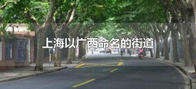 ​上海以广西命名的街道（上海为什么那么多广西的地名？）