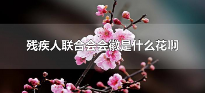 ​残疾人联合会会徽是什么花啊（中国残疾人联合会会徽是什么花）