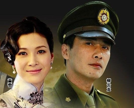 柳云龙主演谍战的电视剧大全（柳云龙出演的各类型电视剧作品）(4)