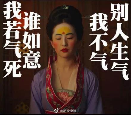 电影版本的花木兰为什么不受好评（花木兰豆瓣评分4.7）(11)