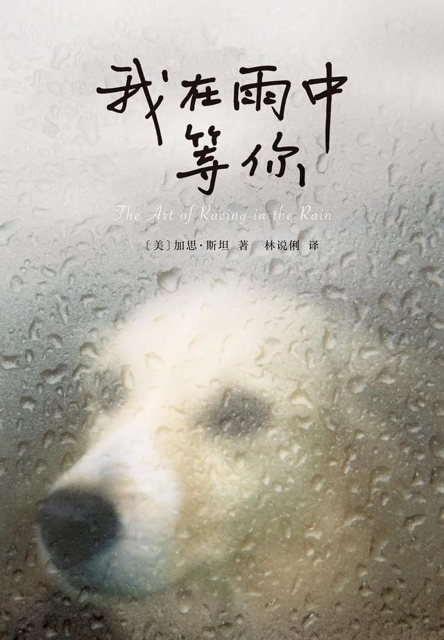 有哪些根据经典著作改编的电影(10部畅销书改编的高分电影)(39)