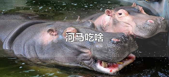 河马吃啥 河马吃啥