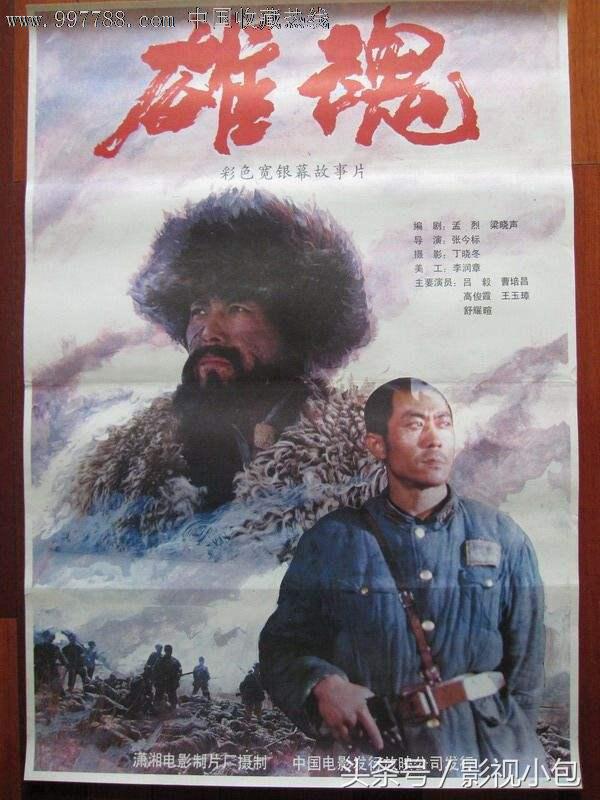 八十年代国产战争电影大全（上世纪八九十年代内地拍摄的经典战争类故事片）(14)