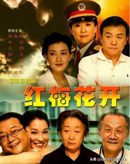 王刚演的和珅淋漓尽致(和珅王刚22部经典电视剧)(17)