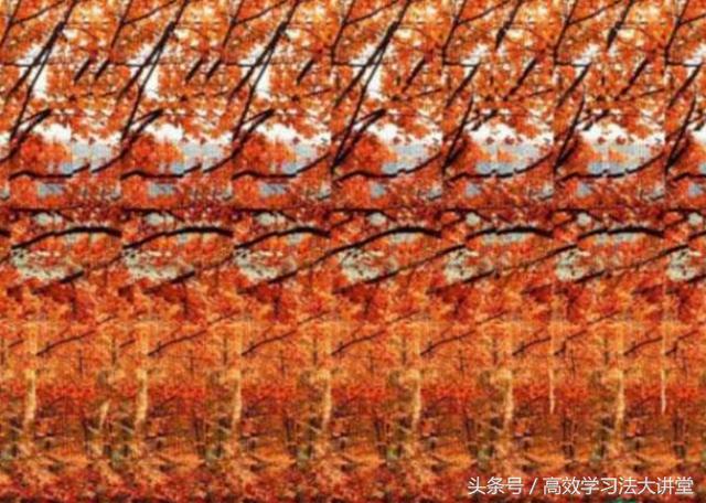 3d连线视觉图(神奇的3D图你会看吗)(15)