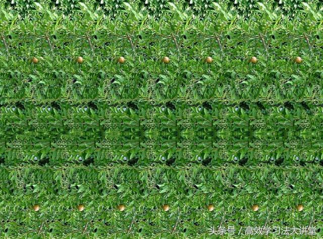 3d连线视觉图(神奇的3D图你会看吗)(1)