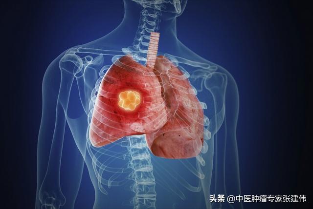 肺癌免疫疗法有多厉害（29岁抗癌博主霍九九因病去世）(2)