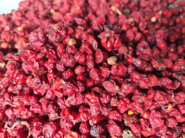 感冒后咳嗽怎么办最快最有效（感冒后咳嗽不止）(7)