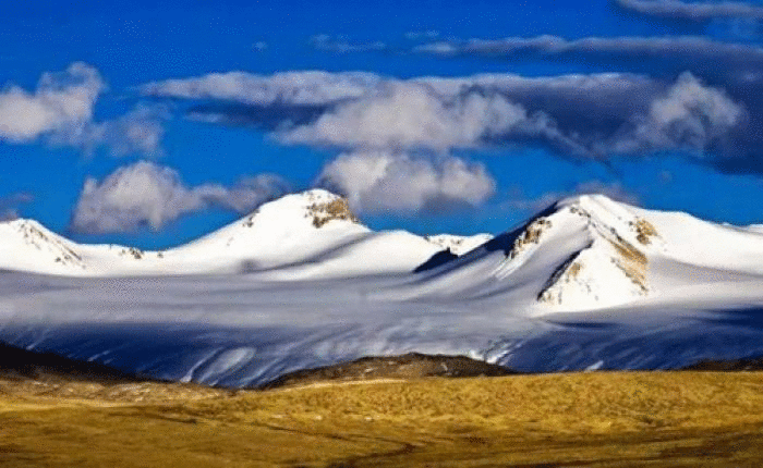 可可西里申遗成功时间(可可西里申遗成功)(3)