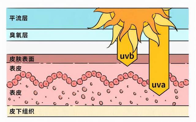 3个美白小技巧每天5分钟轻松有效(简单4步轻松美白方式)(2)