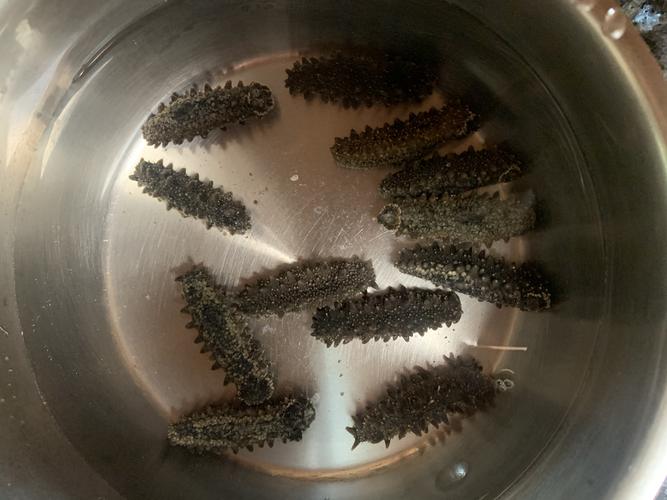 干海参如何泡制(干海参泡发的正确方法)